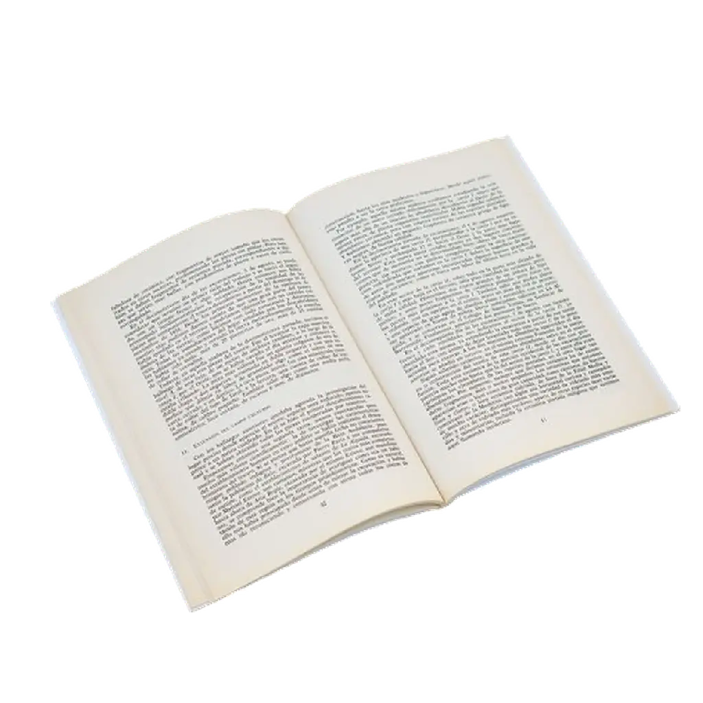 el-tesoro-y-las-primeras-excavaciones-de-ebora-2-libro-abierto.webp
