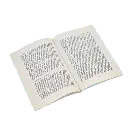 el-tesoro-y-las-primeras-excavaciones-de-ebora-2-libro-abierto.webp